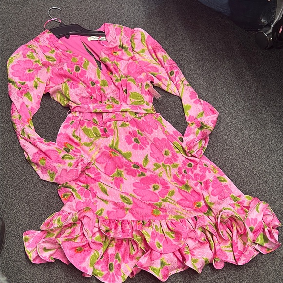 Taylor Vibrant Pink and Green Floral Dress - Picture 1 of 6
